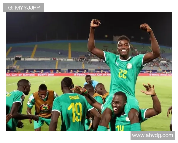 加纳与突尼斯激战2019年7月8日非洲杯赛场精彩回顾与分析